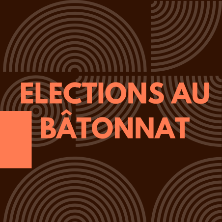 GUIDE DES ELECTIONS AU BÂTONNAT